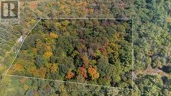 72 MCCAULEY ROAD  Seguin, ON P0C 1J0