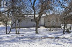201 Brunswick STREET  Pense, SK S0G 3W0
