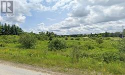 LOT 67 BREWESTER'S LAKE ROAD Grey Highlands, ON N0C 1M0