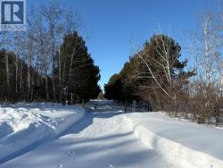 Walker Road Acreage  Buckland Rm No. 491, SK S6V 5R3