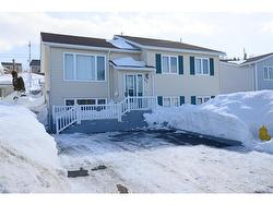 63 Neptune Road  St. John's, NL A1B 4J2