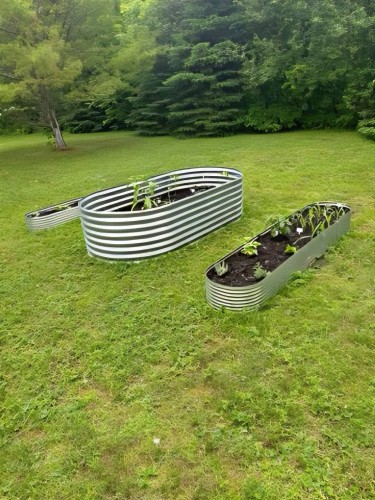 Jardin - 395 Ch. Des Outaouais, Pointe-Fortune, QC - Outdoor