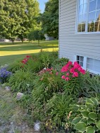 Jardin - 