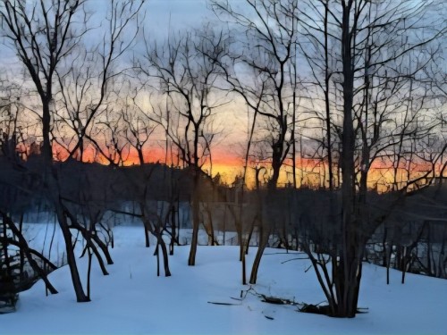 Cour - 395 Ch. Des Outaouais, Pointe-Fortune, QC - Outdoor With View