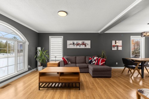 Salon - 395 Ch. Des Outaouais, Pointe-Fortune, QC - Indoor Photo Showing Living Room
