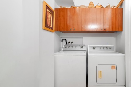 Laundry - 4541 Av. Royal, Montréal (Côte-Des-Neiges/Notre-Dame-De-Grâce), QC - Indoor Photo Showing Laundry Room
