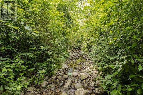 2117 Fallingbrook Court, Burlington, ON - Outdoor