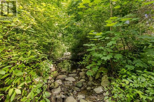 2117 Fallingbrook Court, Burlington, ON - Outdoor