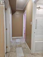 Lower Level Hallway - 