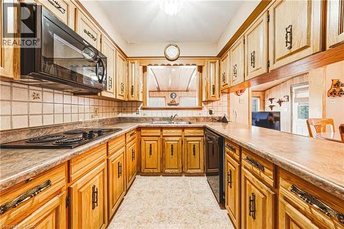 53 Glover Road, Hamilton, ON - Indoor Photo Showing Kitchen With Double Sink