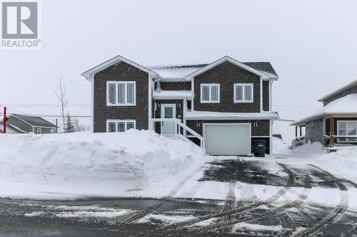 20 Alma Avenue  Paradise, NL A1L 1G4