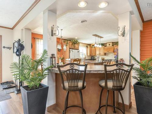 151 Appalosa Trail, Bayhead, NS 