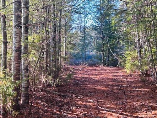 351 Narrows Road, Labelle, NS 