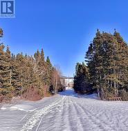 5 THORBURN LAKE Road  Thorburn Lake, NL A0C 2G0