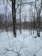 24.521 ACRES 1/4 LOT 11 CONC 7 N  Northern Bruce Peninsula, ON N0H 1W0