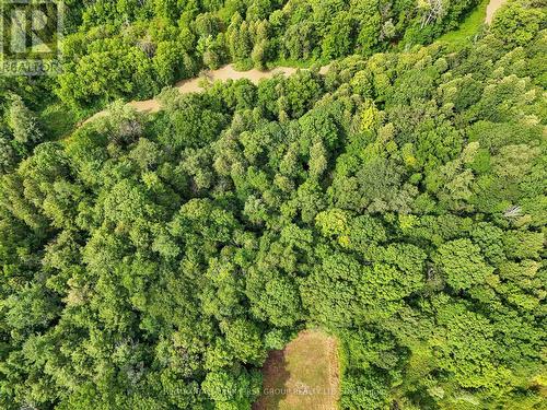 7300 Reesor Road, Markham, ON - Outdoor