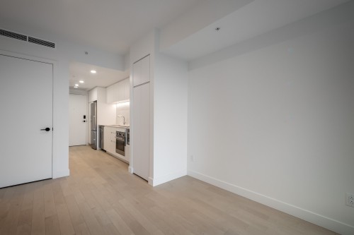 Living Room - 4911-1210 Rue Jeanne-Mance, Montréal (Ville-Marie), QC - Indoor Photo Showing Other Room