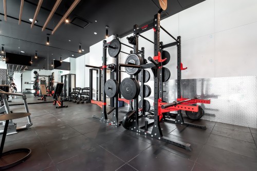 Exercise Room - 4911-1210 Rue Jeanne-Mance, Montréal (Ville-Marie), QC - Indoor Photo Showing Gym Room