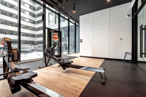 Exercise Room - 4911-1210 Rue Jeanne-Mance, Montréal (Ville-Marie), QC - Indoor Photo Showing Gym Room