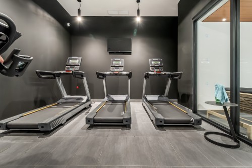 Exercise Room - 4911-1210 Rue Jeanne-Mance, Montréal (Ville-Marie), QC - Indoor Photo Showing Gym Room