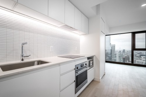 Kitchen - 4911-1210 Rue Jeanne-Mance, Montréal (Ville-Marie), QC - Indoor Photo Showing Kitchen With Upgraded Kitchen