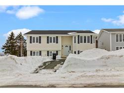 24 Kildare Place  St. John's, NL A1B 5A9