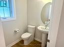 Downstairs Bath - 115 Styles Drive, St. Thomas, ON  - Indoor Photo Showing Bathroom 
