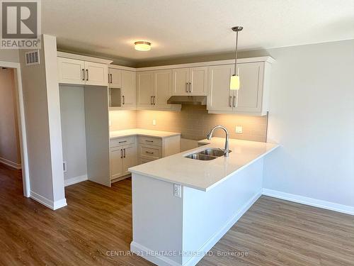 115 Styles Drive, St. Thomas, ON - Indoor Photo Showing Kitchen With Double Sink