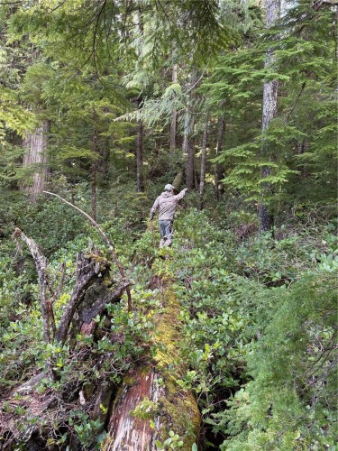 0 Michigan Main Rd, Bamfield, BC 