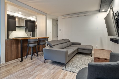 Living Room - 3-1060 Rue Ste-Élisabeth, Montréal (Ville-Marie), QC - Indoor Photo Showing Living Room