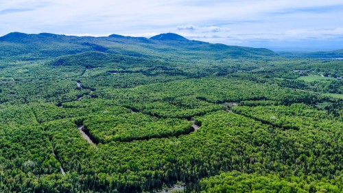 Overall view - 63-419 Ch. George-Bonnallie, Eastman, QC 