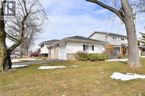 4 Bermuda Court, Hamilton, ON - Outdoor