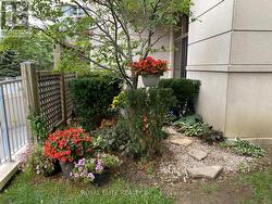 102 - 39 GALLERIA PARKWAY Markham, ON L3T 0A6