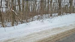 207 GOODFELLOW ROAD  Brighton, ON K0K 1R0