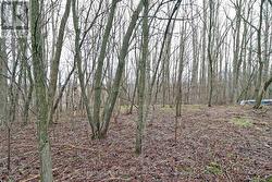 207 GOODFELLOW ROAD Brighton, ON K0K 1R0