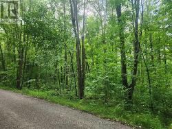 LOT CEDAR SANDS ROAD WAY  Rideau Lakes, ON K0E 1N0