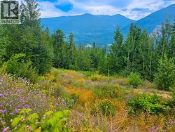 421 MOUNTAIN VIEW Drive Balfour, BC V1L 0A7