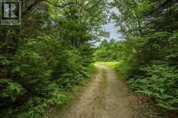 Highway 17 Sheppards LN  Township Of North Shore, Spragge, ON P0R 1K0