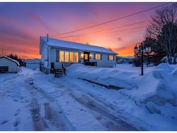 47 Irishtown Road  Carbonear, NL A1Y 1A7