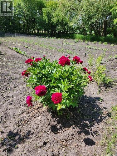 101 Doepker Avenue, Annaheim, SK - Outdoor