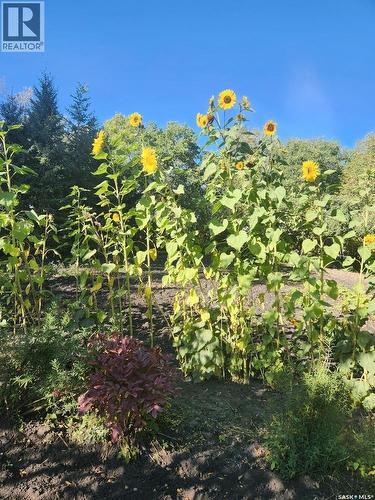 101 Doepker Avenue, Annaheim, SK - Outdoor