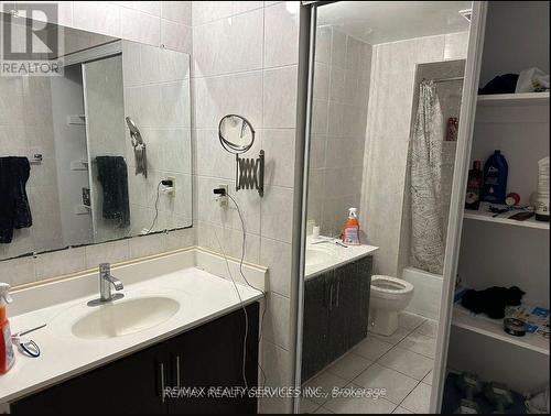 132 Cherrytree Drive, Brampton, ON - Indoor Photo Showing Bathroom