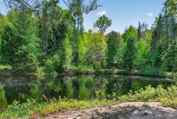 Vue sur l'eau - 
