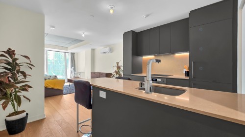 Kitchen - 1306-360 Rue Mayor, Montréal (Ville-Marie), QC - Indoor