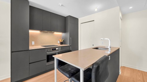 Kitchen - 1306-360 Rue Mayor, Montréal (Ville-Marie), QC - Indoor Photo Showing Kitchen With Upgraded Kitchen