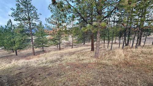 3027 Black Angus Road, Cranbrook, BC - Outdoor With View