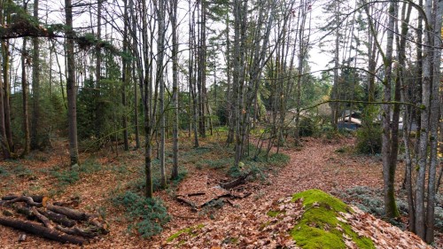 3375 Opal Rd, Nanaimo, BC 
