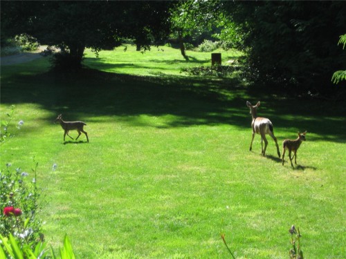 6280 Sooke Rd, Sooke, BC 