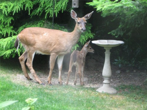 6280 Sooke Rd, Sooke, BC 