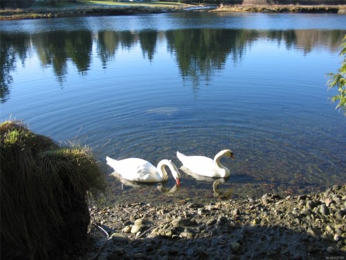 6280 Sooke Rd, Sooke, BC 